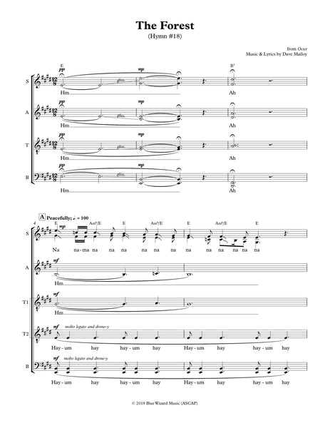 The Forest – Blue Wizard Music